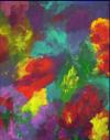 50 x 60  /  Acryl auf Leinwand / 320.- Euro